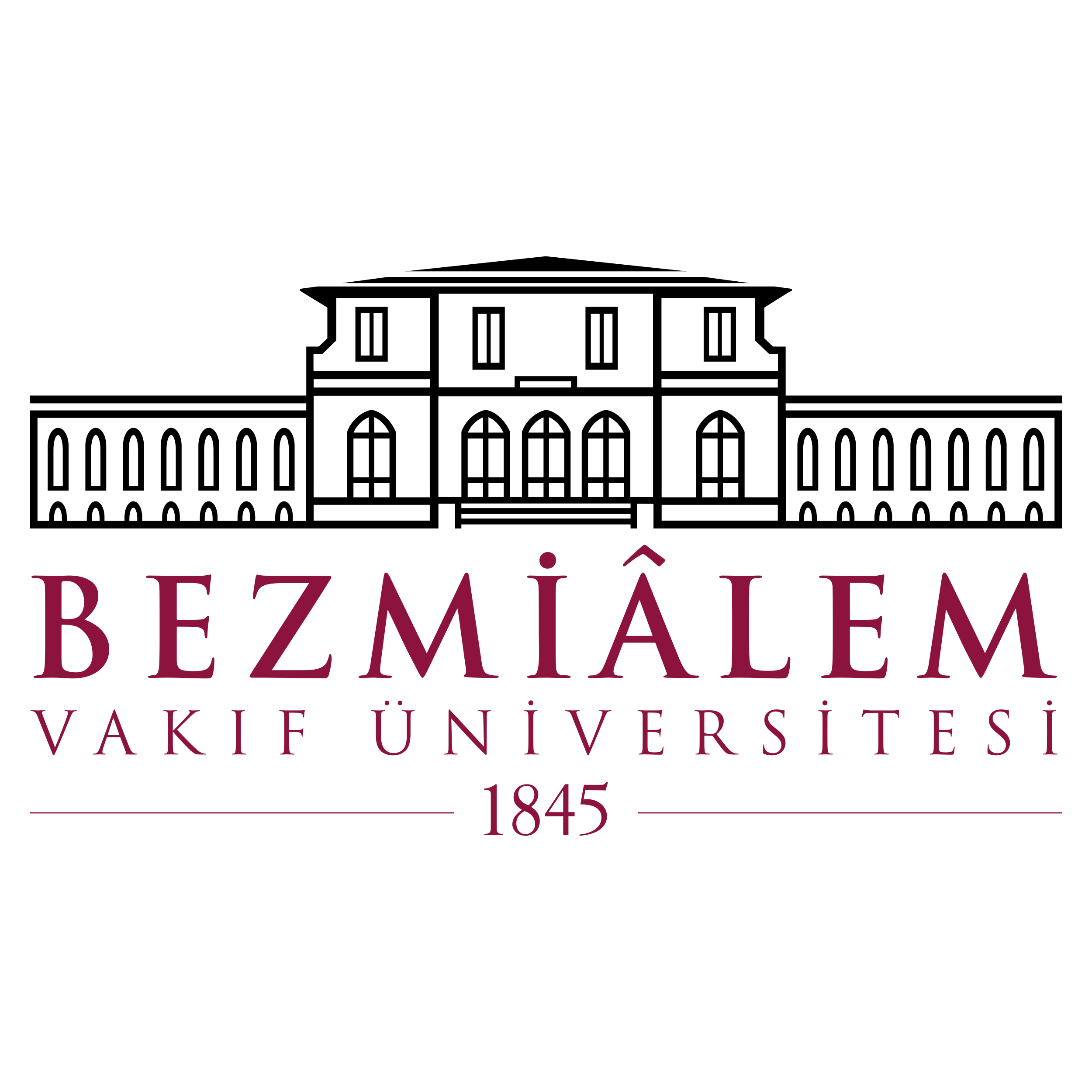 Университет Безмиалем Вакиф logo
